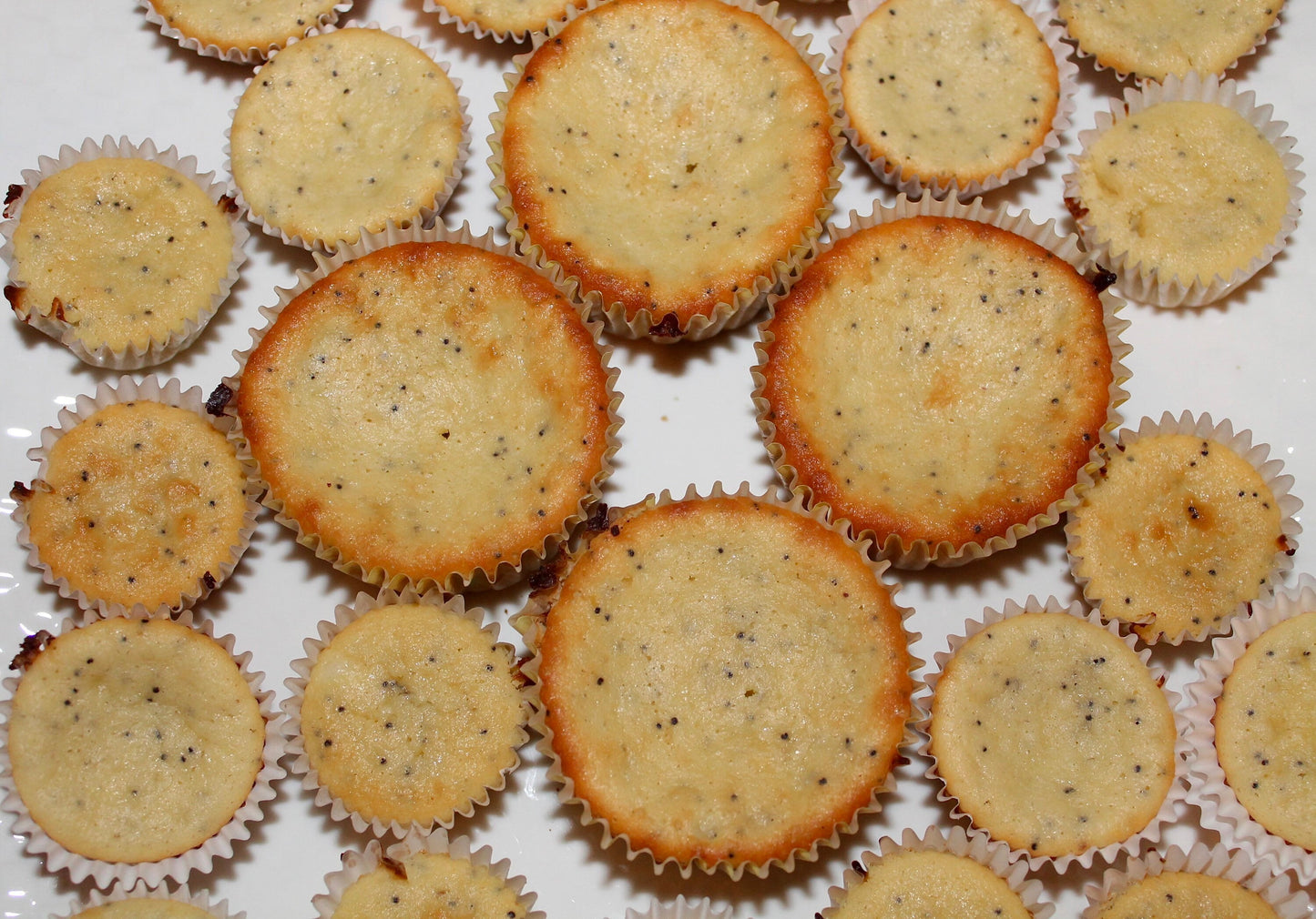 2G Net Carb Lemon Poppy Seed Muffins