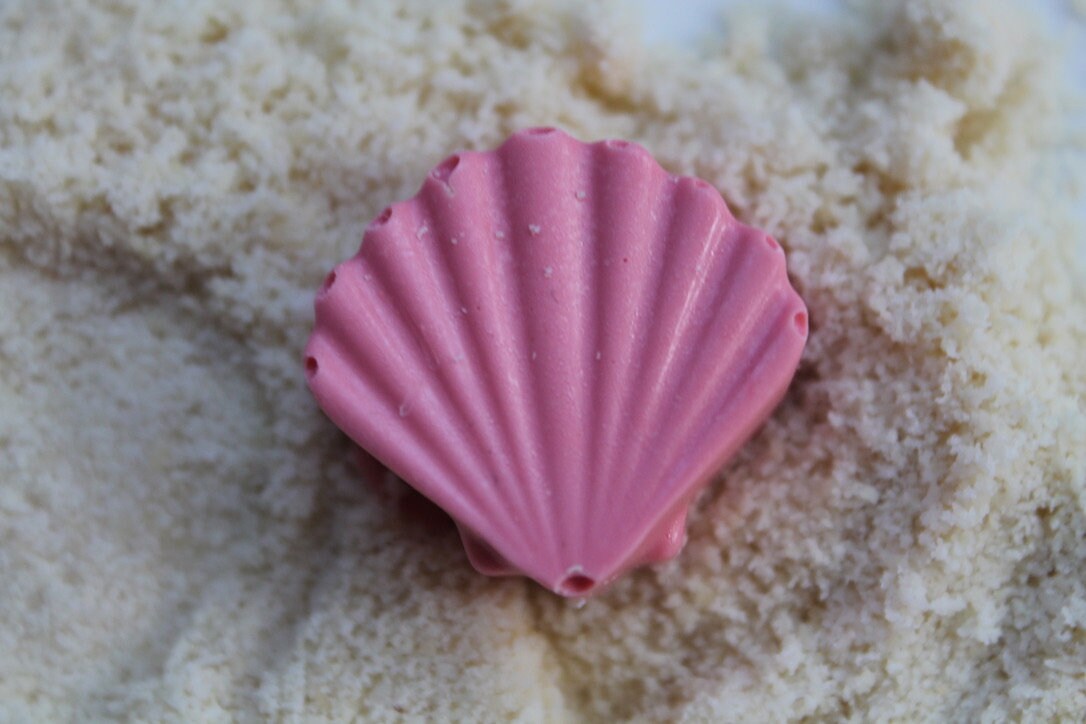 SHELL-YA Chocolates