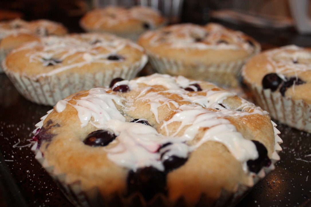 FAT FREE Blueberry muffins