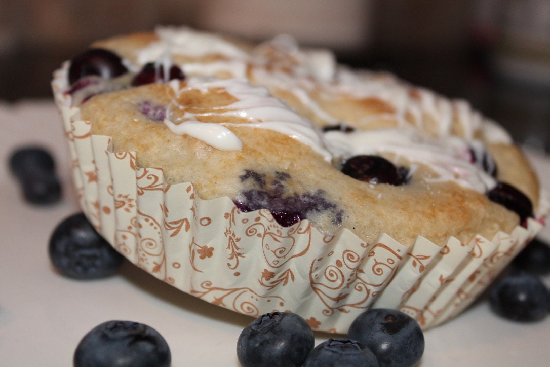 FAT FREE Blueberry muffins