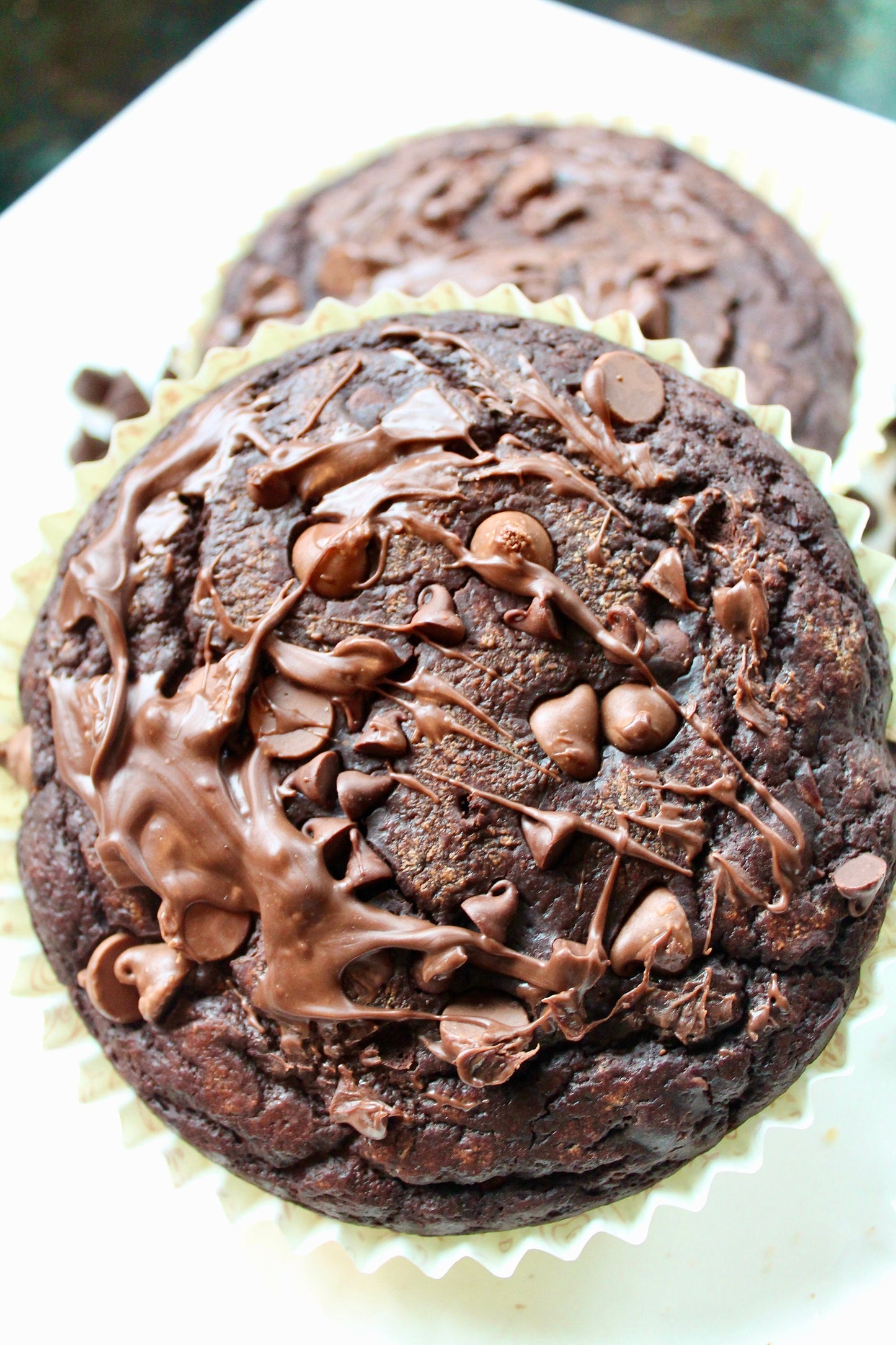 FAT FREE Chocolate Muffins