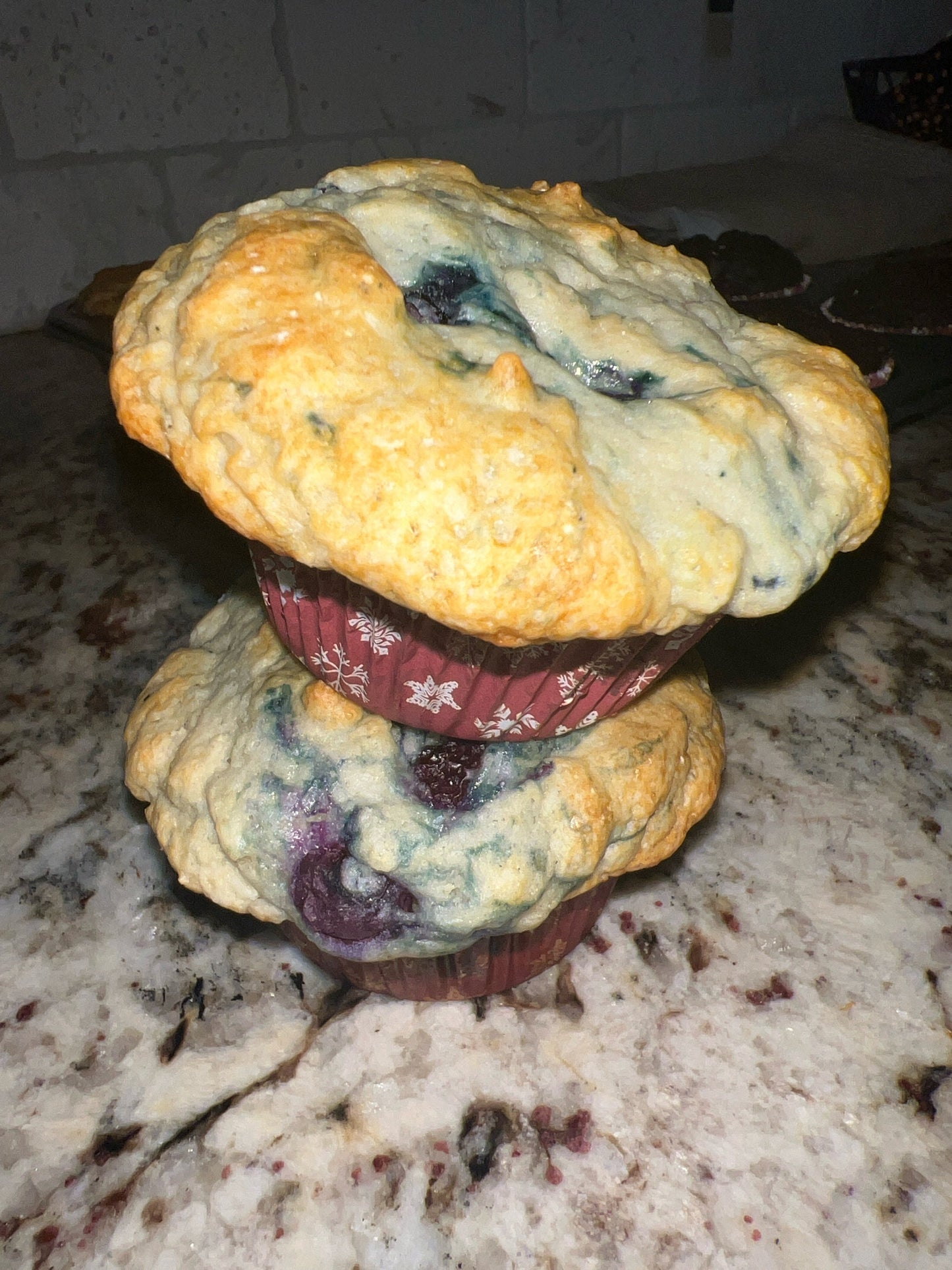 FAT FREE Blueberry muffins